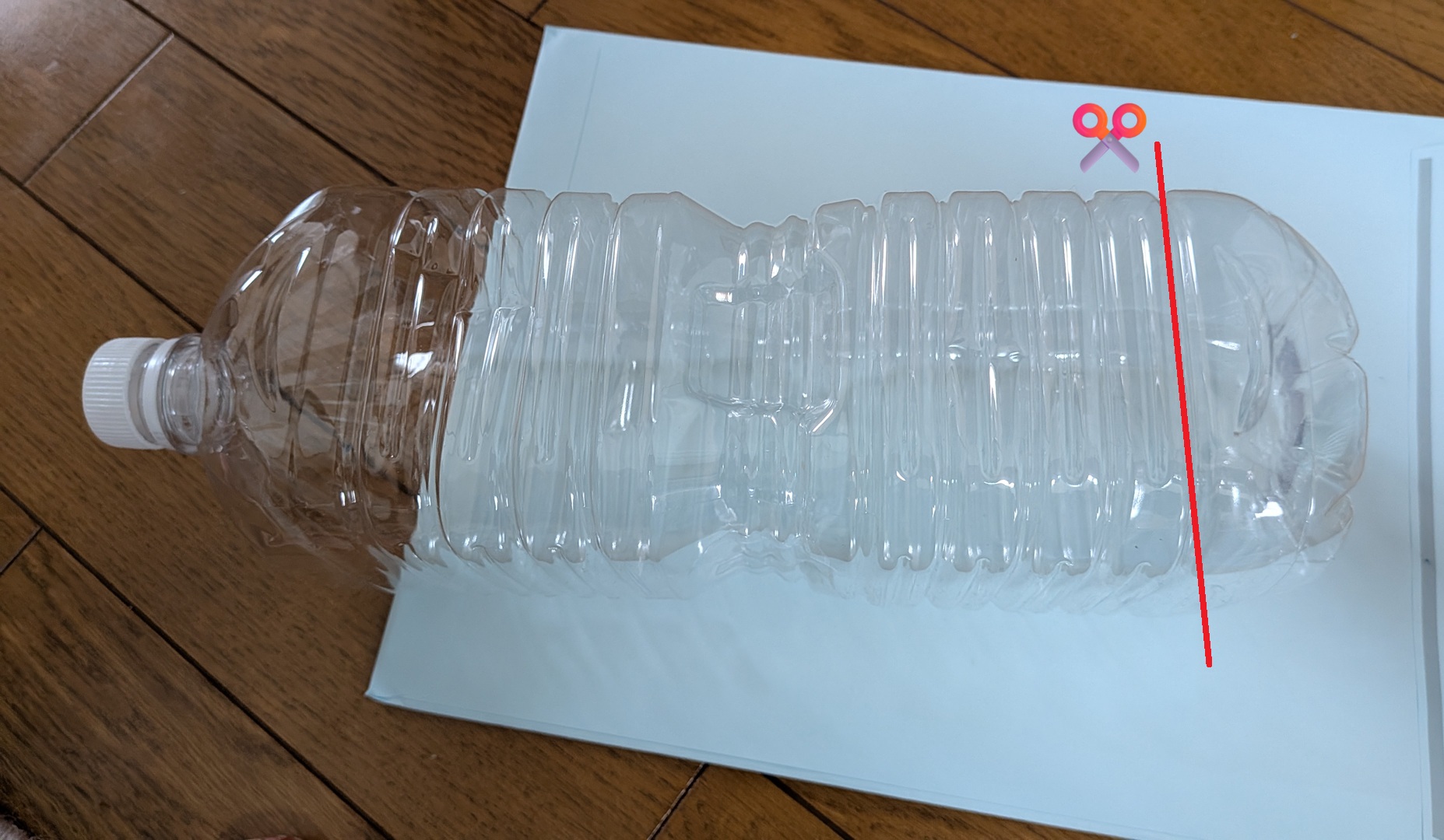 ペットボトルで虫退治の方法1