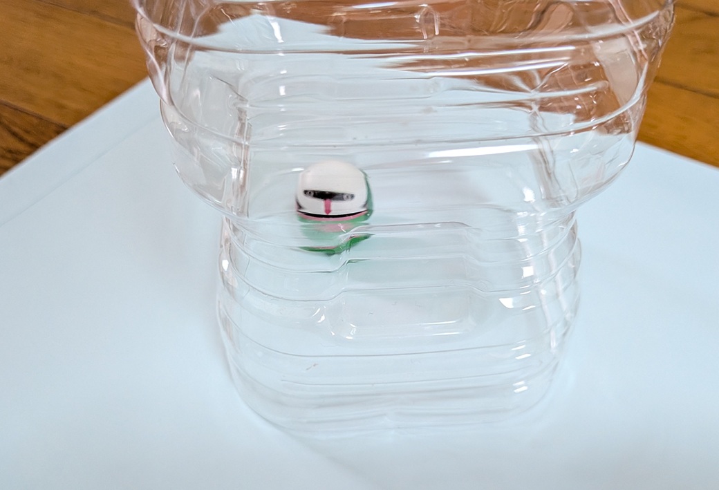 ペットボトルで虫退治の方法7